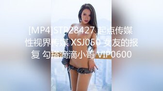 [MP4]STP28427 起点传媒 性视界传媒 XSJ050 女友的报复 勾搭滴滴小哥 VIP0600