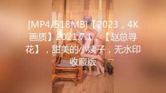 [MP4/518MB]【2023，4K画质】2021.7.1，【赵总寻花】，甜美的小姨子，无水印收藏版