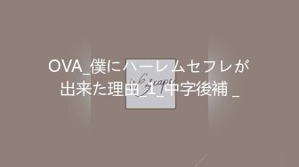 OVA_僕にハーレムセフレが出来た理由_1_中字後補 _