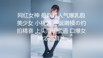 用身体做武器 女特工的性诱惑 星野千纱