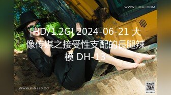 [HD/1.2G] 2024-06-21 大像传媒之接受性支配的長腿辣模 DH-13