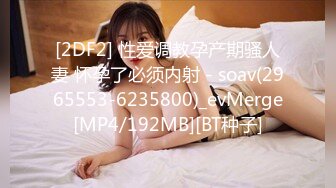 [2DF2] 性爱调教孕产期骚人妻 怀孕了必须内射 - soav(2965553-6235800)_evMerge[MP4/192MB][BT种子]