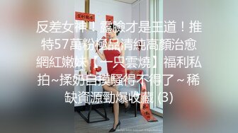 国产精品偷窥熟女精品视频