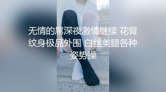 河豚抚子写真图包4套