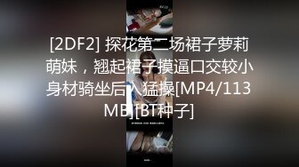 [2DF2] 探花第二场裙子萝莉萌妹，翘起裙子摸逼口交较小身材骑坐后入猛操[MP4/113MB][BT种子]