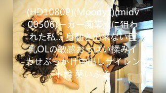 (HD1080P)(Moodyz)(midv00506)ーカー痴集団に狙われた私… 身動き出来ない巨乳OLの敏感おっぱい揉みイカせぶっかけ中出しサイレント輪 葵いぶき