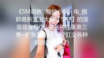 精品收费SJTV系列金钱诱惑户外搭讪素人小姐姐良家少妇脱光下体近景特写展示私处十几位妹子户型各异