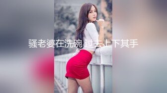 骚老婆在洗碗 过去上下其手