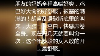 ネトラレーゼ 妻が、会社の部下と取引先のやり手社員に寝盗られた話し 北条麻妃