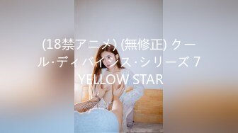 (18禁アニメ) (無修正) クール･ディバイシス･シリーズ 7 YELLOW STAR