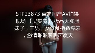 优雅气质尤物御姐女神✿性感空姐刚下飞机就到酒店服务金主爸爸，顶级气质尤物 穷人的女神富人的精盆，上班是女神下班是母狗